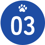 icon3